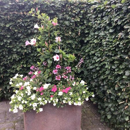 אירבייק B&B De Veluwe Hoeve מראה חיצוני תמונה