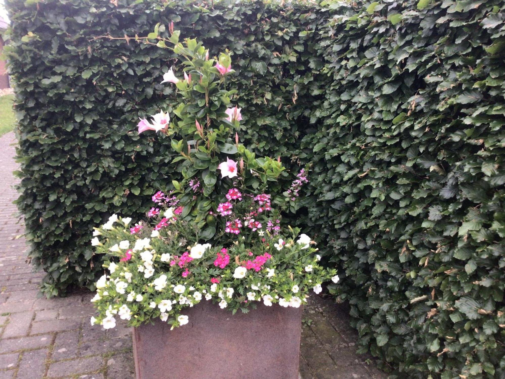אירבייק B&B De Veluwe Hoeve מראה חיצוני תמונה